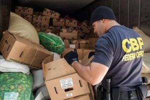 Do customs seize fake watches?